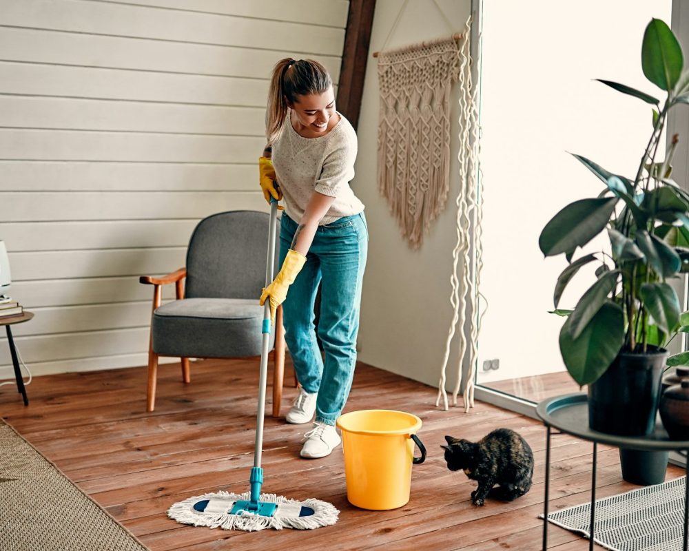 Woman doing house cleaning.